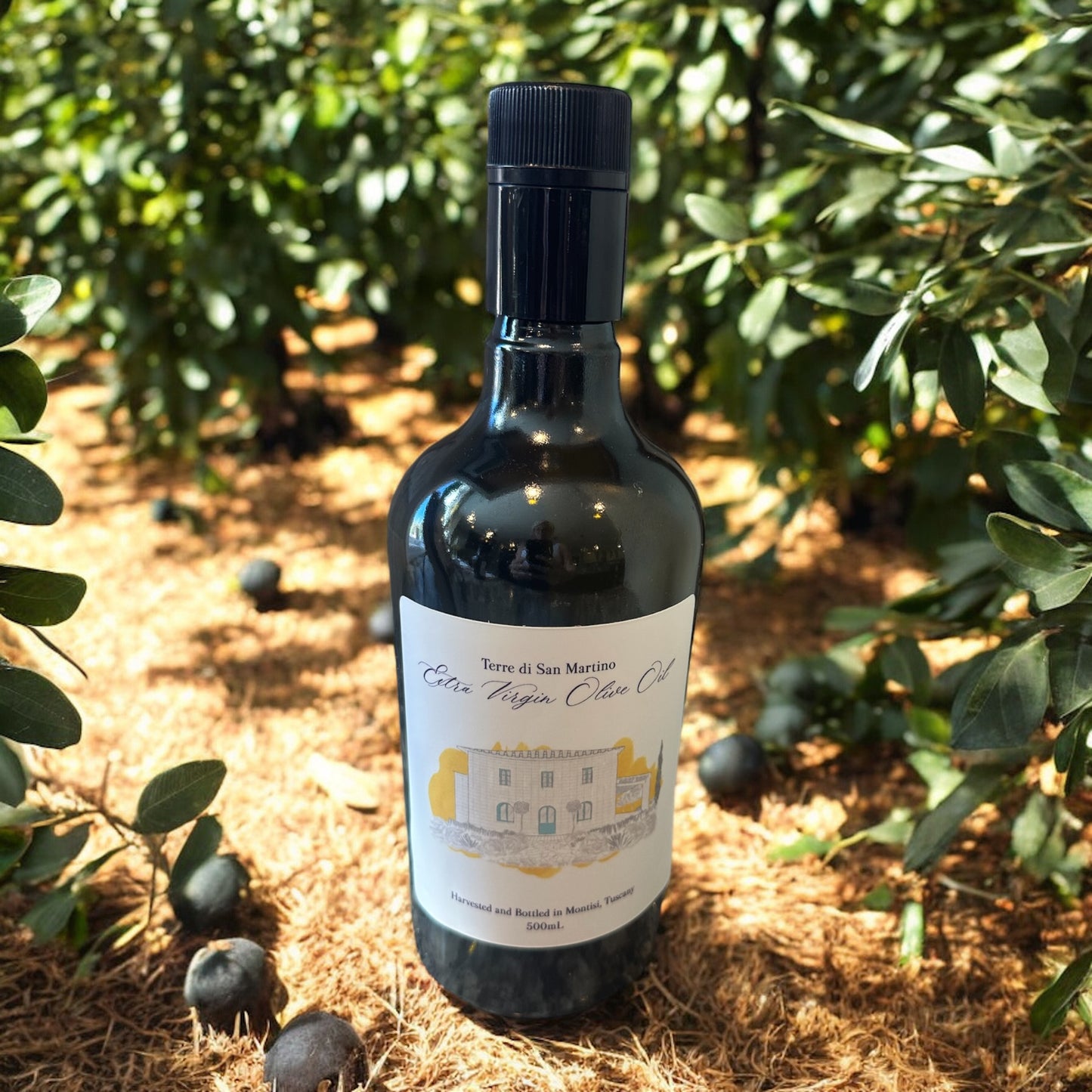 Il Poderino by Terre di San Martino (Nico's) Extra Virgin Olive Oil